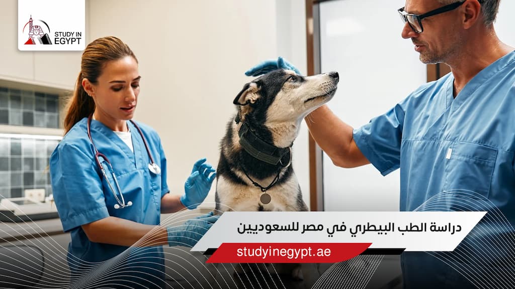 دراسة الطب البيطري في مصر للسعوديين