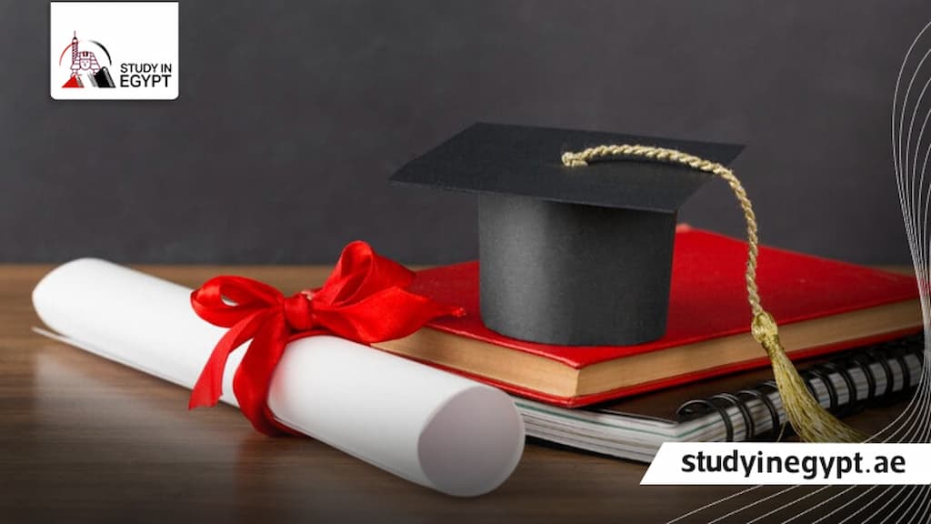 دراسة دكتوراه الصيدلة في مصر