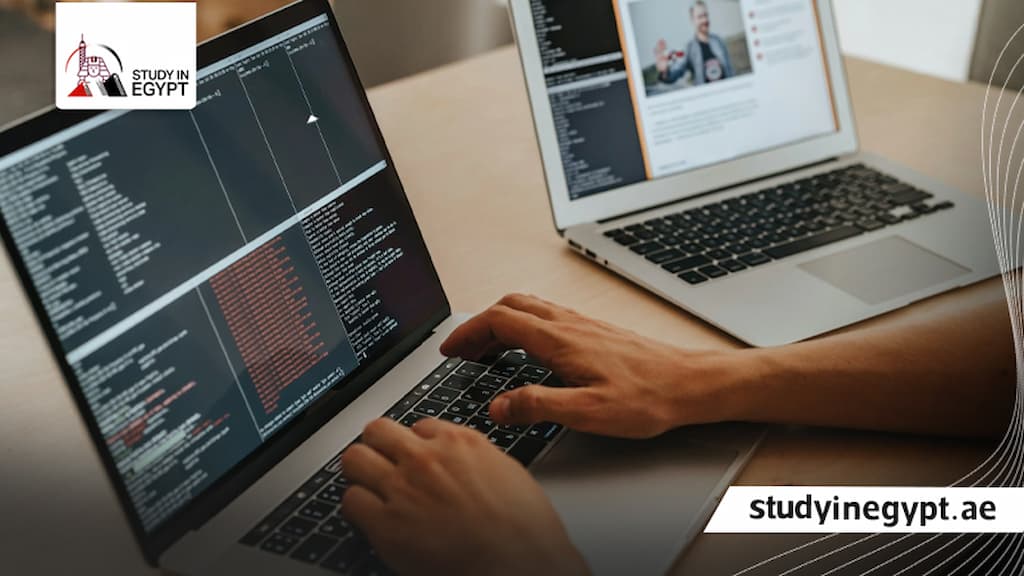 دراسة علوم الحاسب في مصر