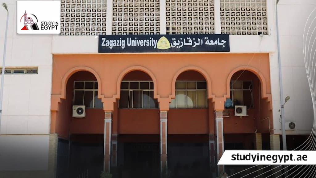 رسوم الطب في جامعة الزقازيق للوافدين