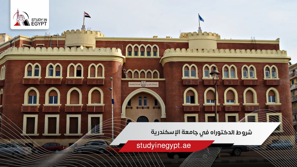 شروط الدكتوراه في جامعة الإسكندرية
