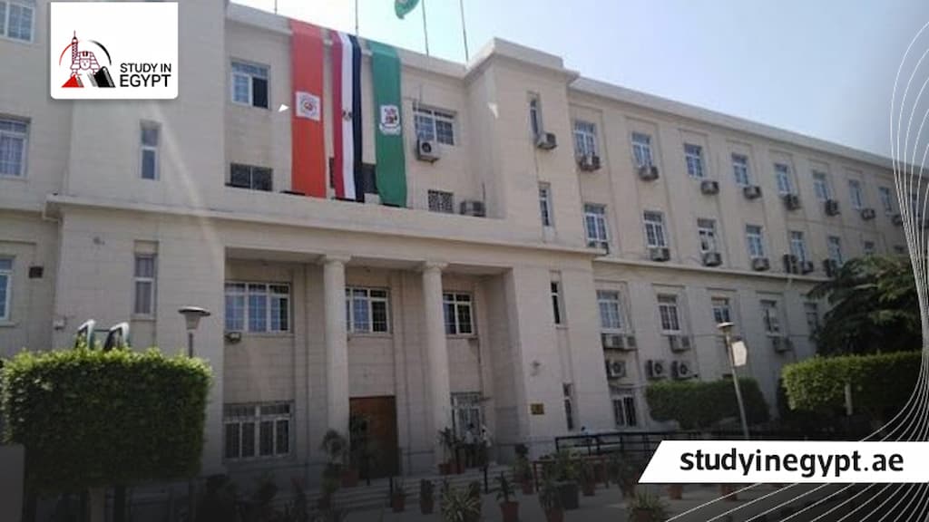 شروط دخول كلية اقتصاد وعلوم سياسية