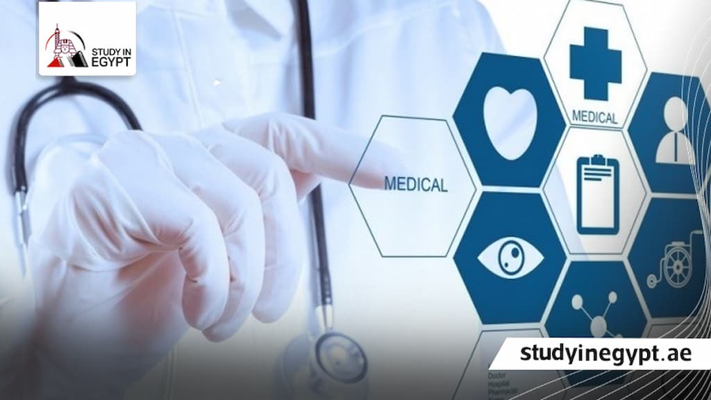 شروط ماجستير الصحة العامة