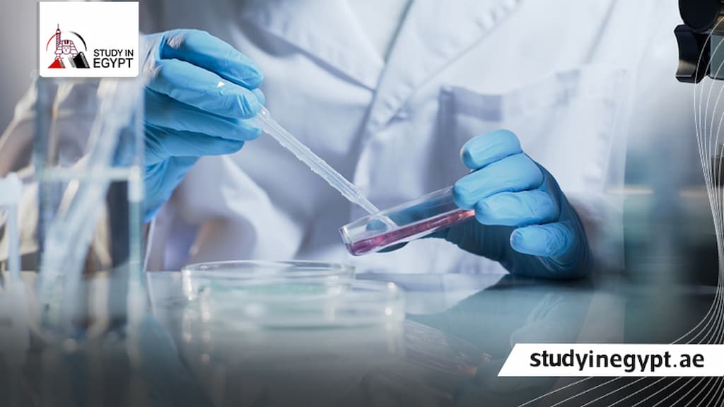 شروط ماجستير علم السموم والادلة الجنائية