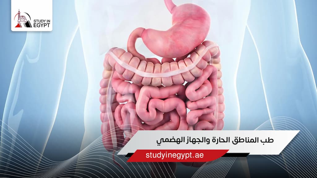 طب المناطق الحارة والجهاز الهضمي