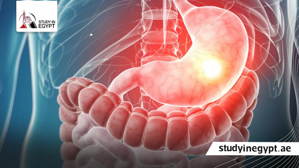 طب المناطق الحارة والجهاز الهضمي
