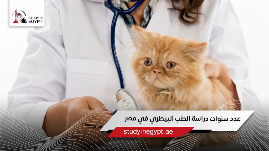 عدد سنوات دراسة الطب البيطري في مصر