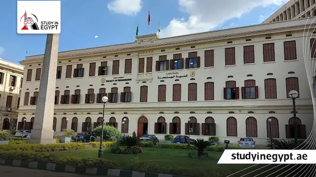 كلية الهندسة جامعة القاهرة الدراسات العليا