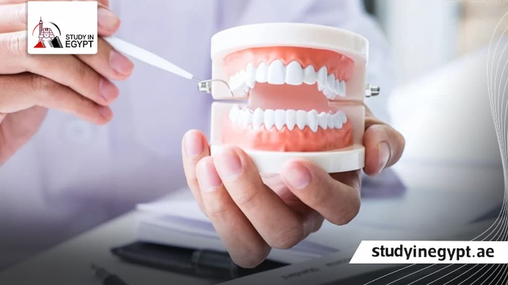 كلية طب الاسنان جامعة القاهرة