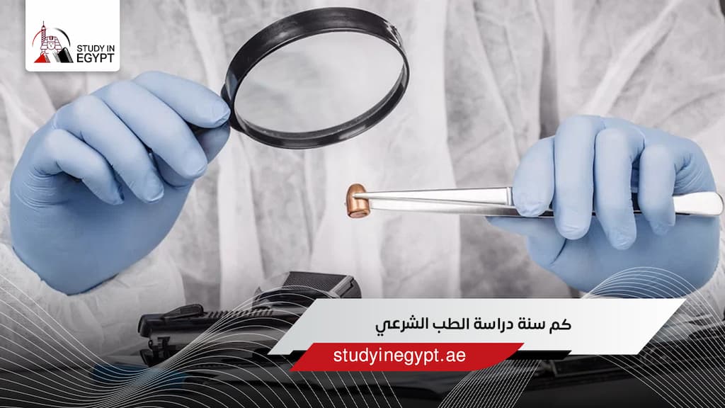 كم سنة دراسة الطب الشرعي