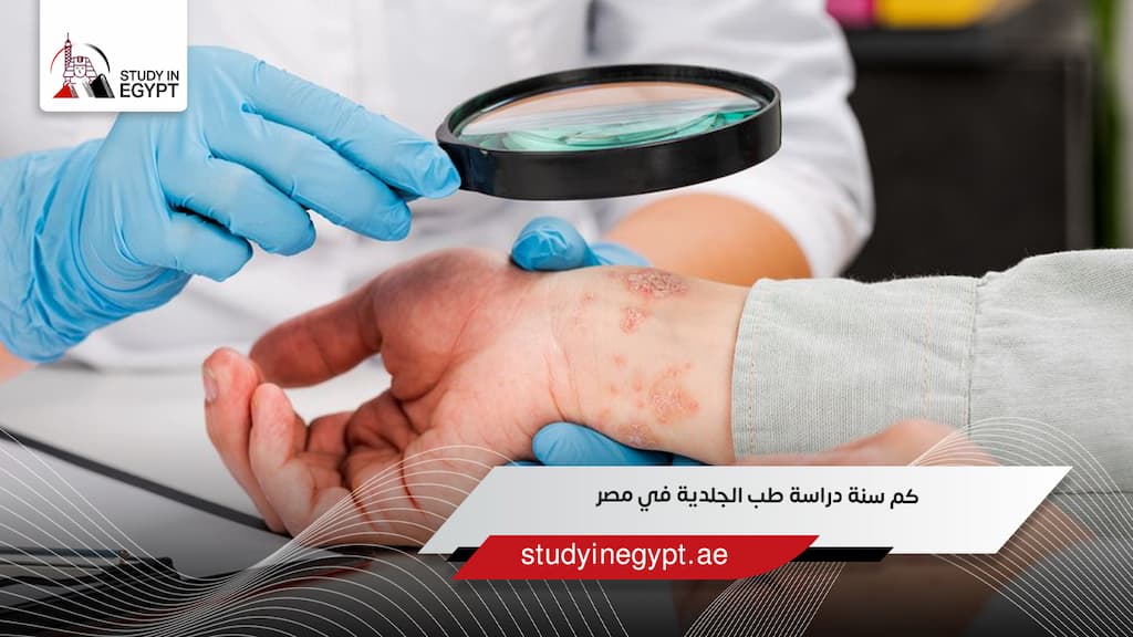 كم سنة دراسة طب الجلدية في مصر