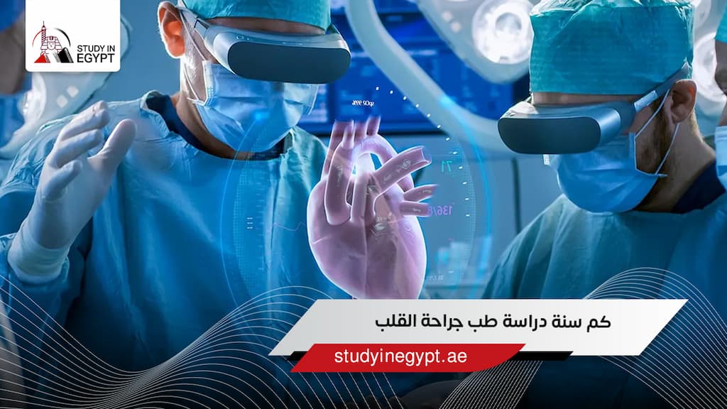 كم سنة دراسة طب جراحة القلب