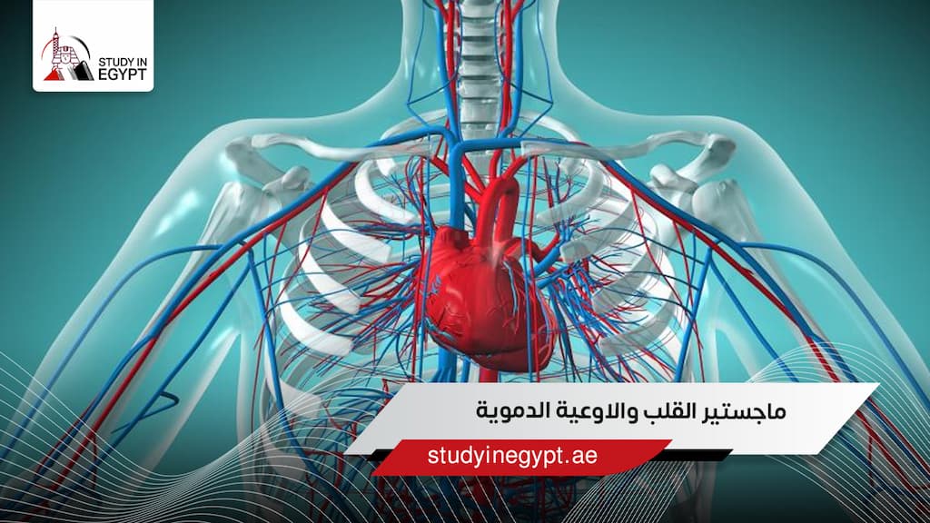 ماجستير القلب والأوعية الدموية