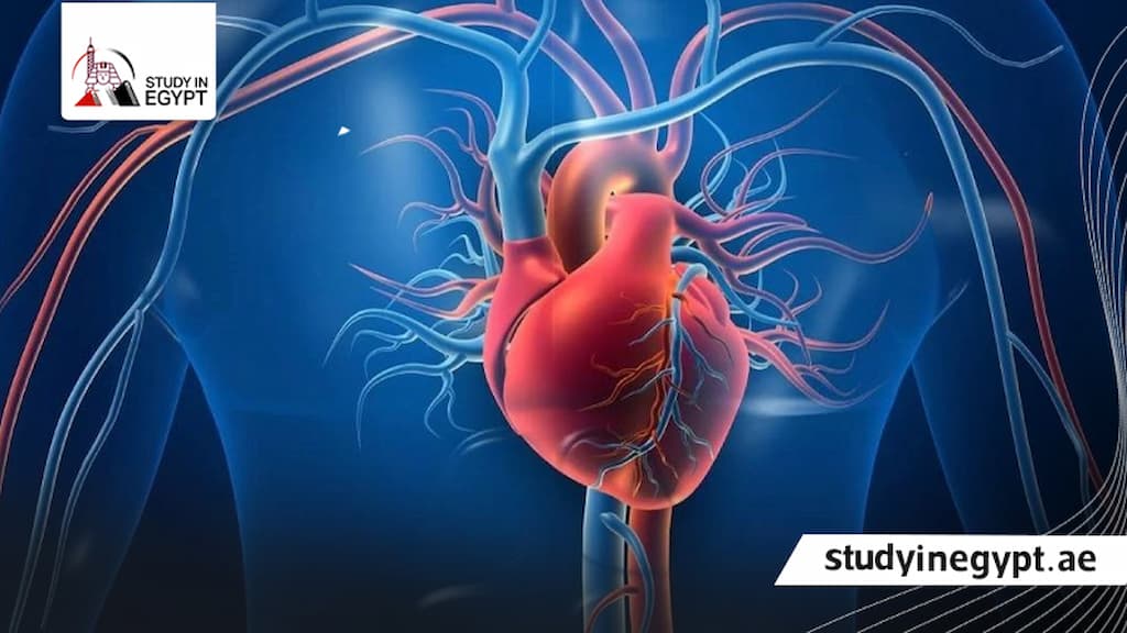 ماجستير القلب والأوعية الدموية