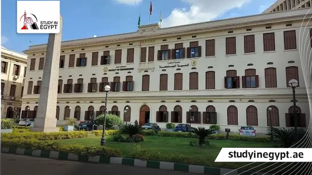 ماجستير مهني هندسة القاهرة