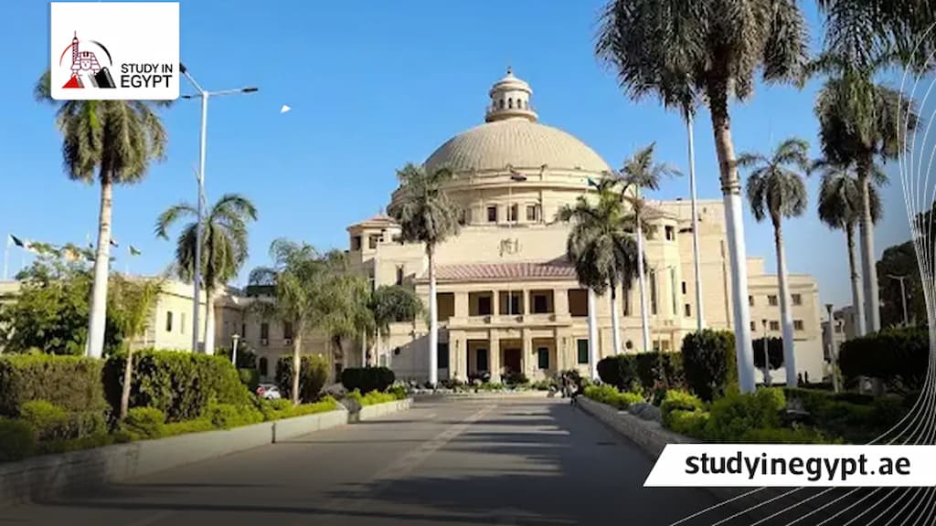 متى يبدأ التسجيل في جامعة القاهرة للوافدين