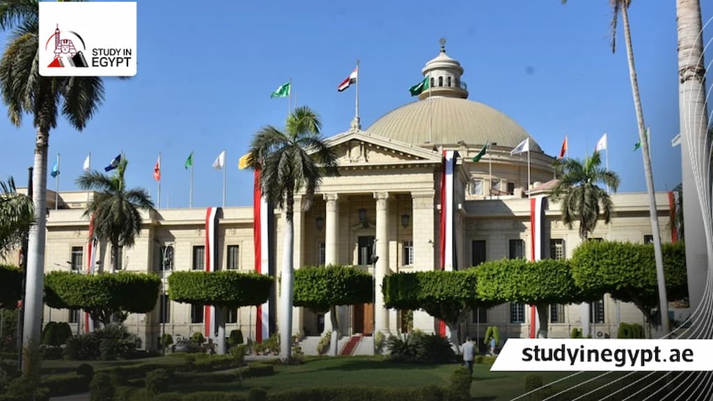 مصاريف صيدلة كلينيكال جامعة القاهرة