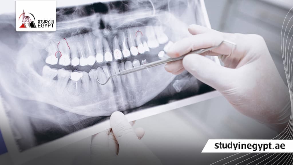مصاريف طب اسنان خاص