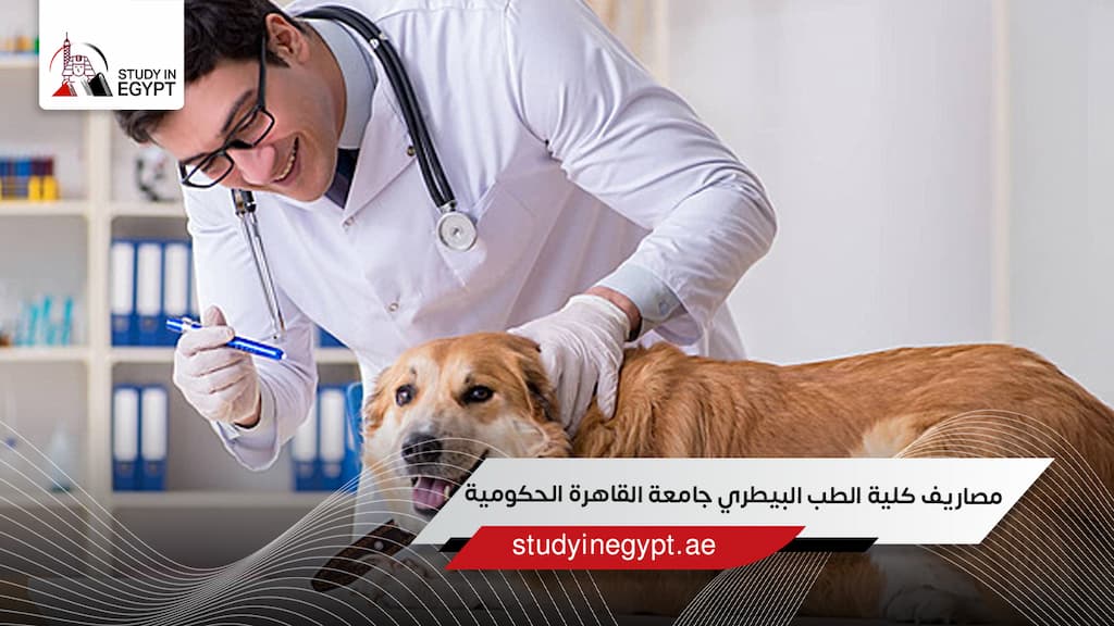 مصاريف كلية الطب البيطري جامعة القاهرة الحكومية