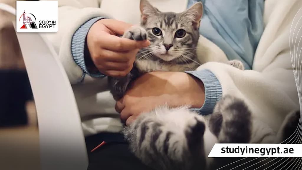 مصاريف كلية الطب البيطري جامعة القاهرة الحكومية