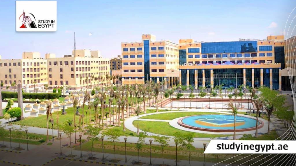 مصاريف كلية تكنولوجيا العلوم الصحية 6 أكتوبر التكنولوجية