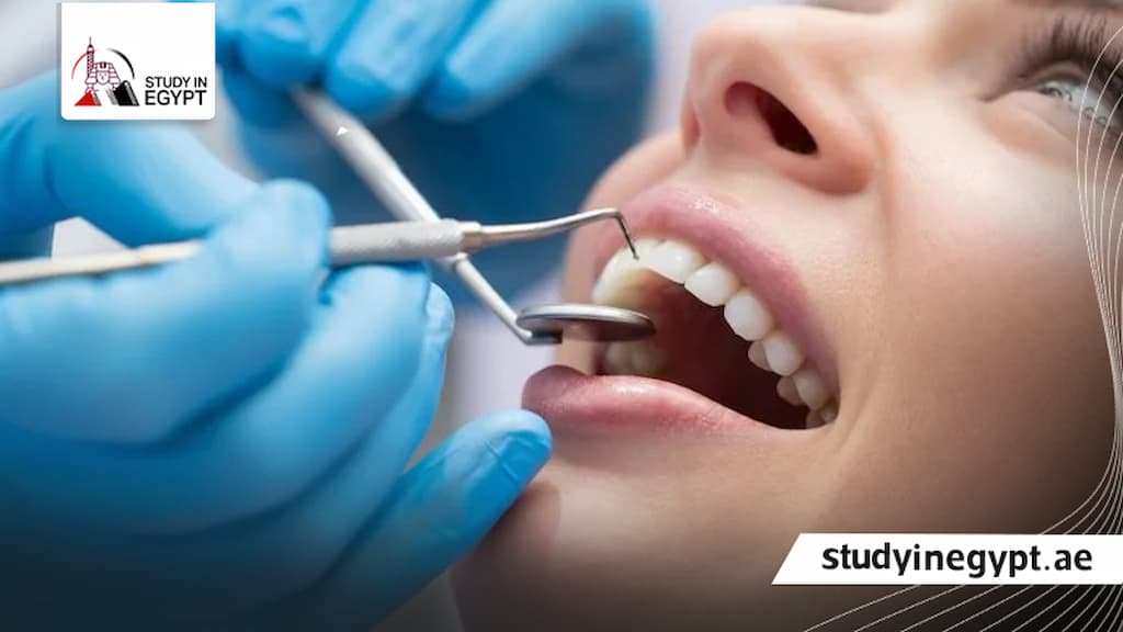 مصاريف كلية طب الأسنان الحكومية