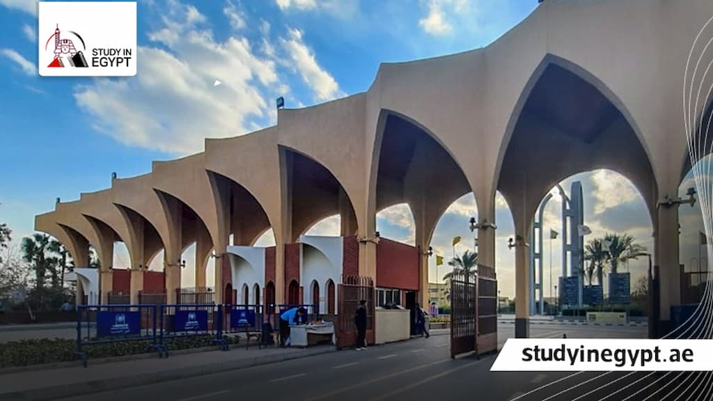 مصروفات كلية تجارة وإدارة أعمال جامعة حلوان