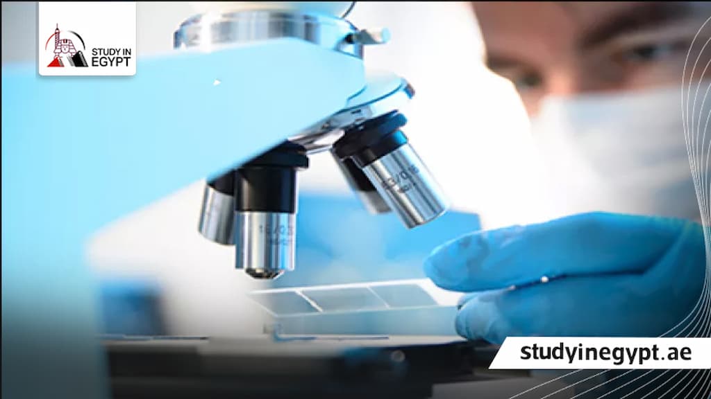 مميزات وعيوب تخصص الباثولوجي