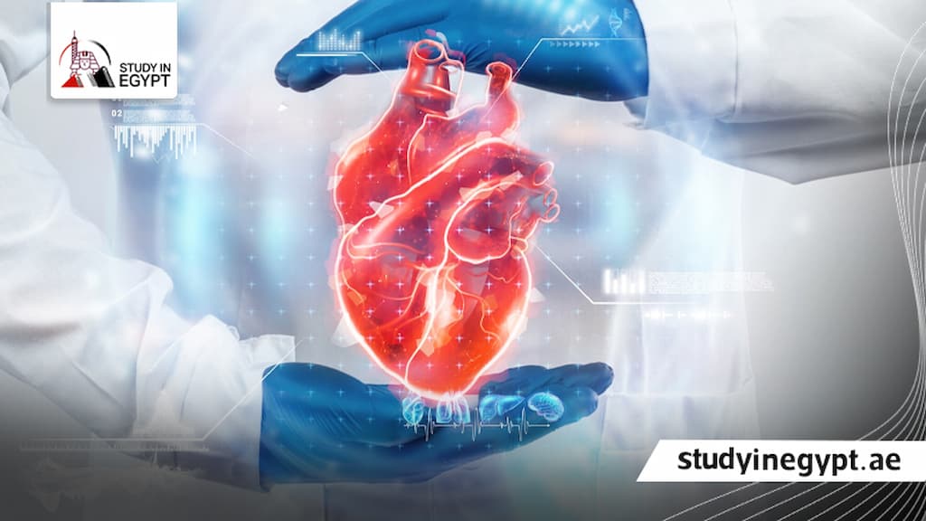 مميزات وعيوب تخصص جراحة القلب