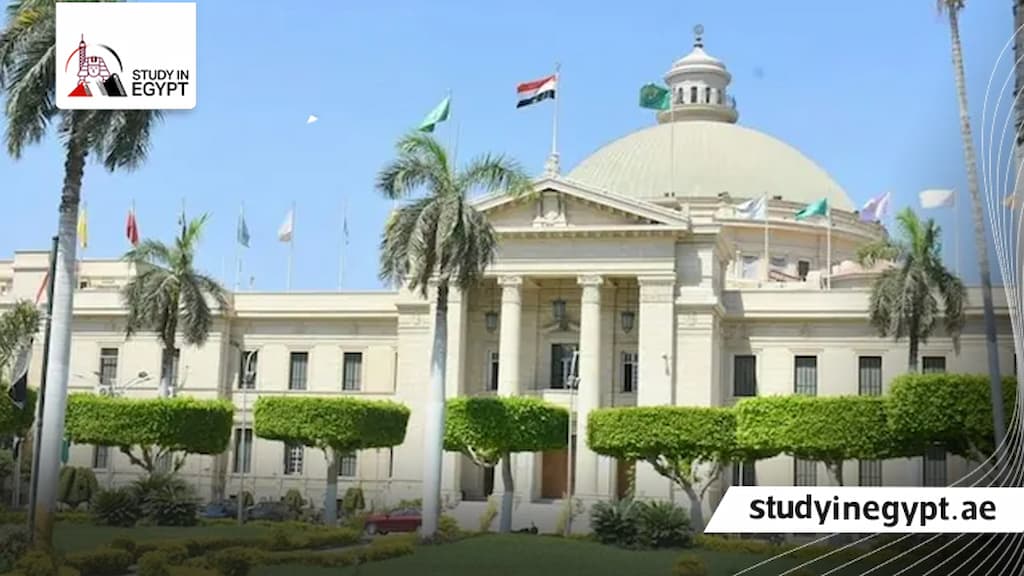 مواعيد تقديم الدراسات العليا كلية التجارة جامعة القاهرة