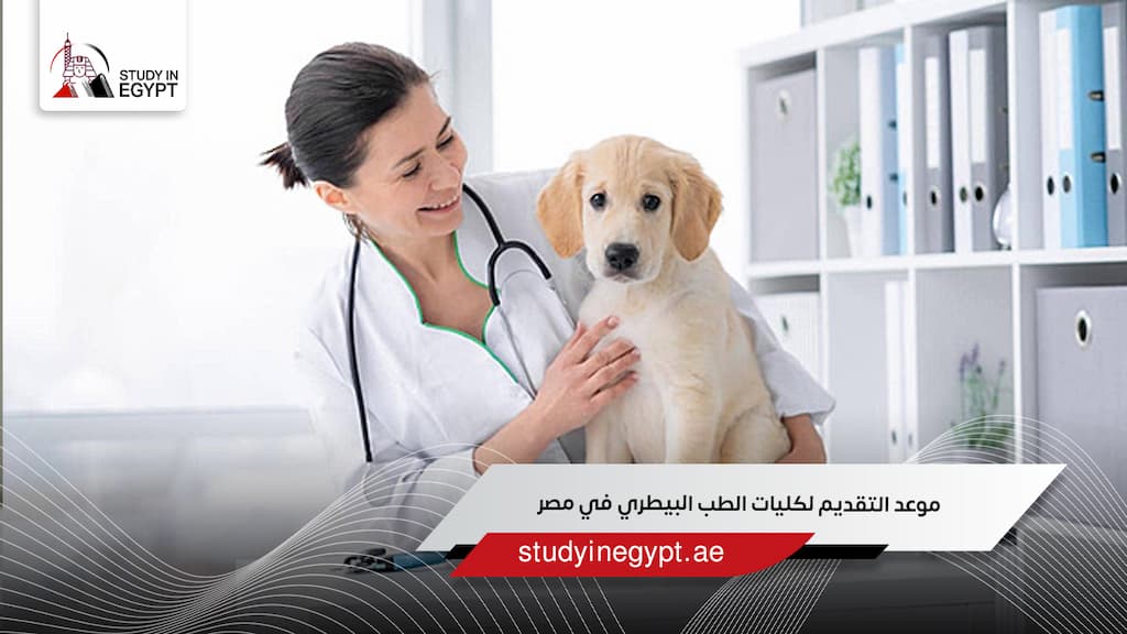 موعد التقديم لكليات الطب البيطري في مصر