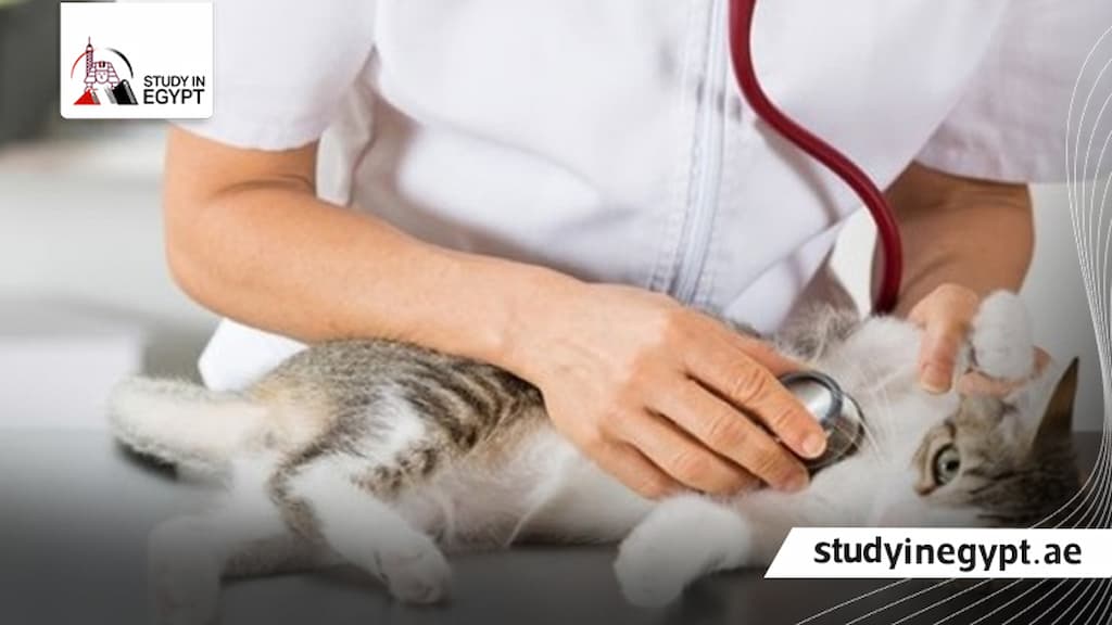 موعد التقديم لكليات الطب البيطري في مصر