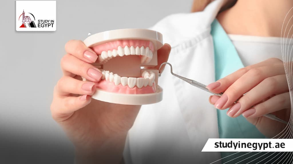 أرخص دولة لدراسة طب الأسنان