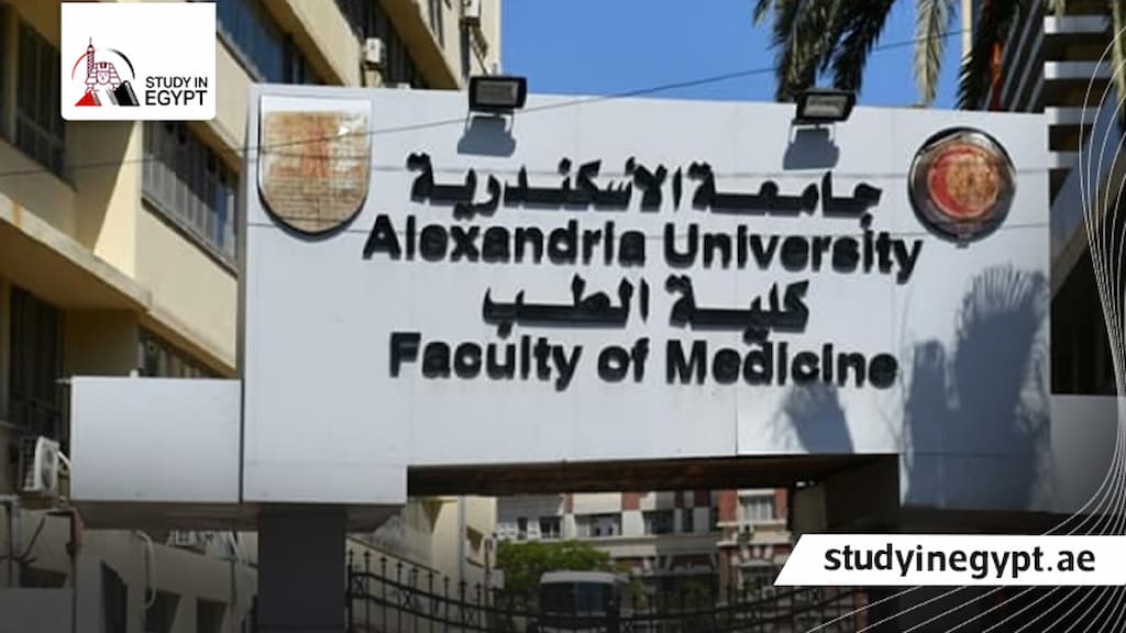 التسجيل في جامعة الاسكندرية كلية الطب