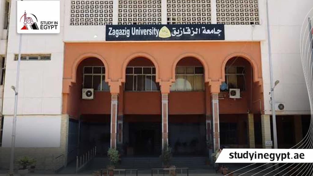 الدراسات العليا جامعة الزقازيق كلية التجارة