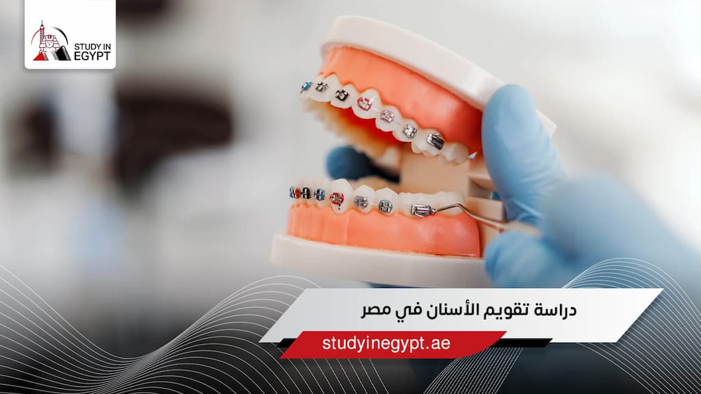 دراسة تقويم الأسنان في مصر