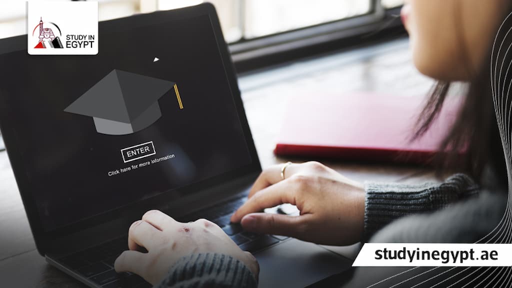 دكتوراة مهنية جامعة القاهرة