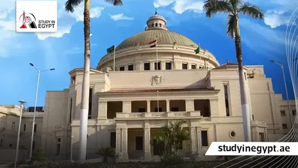 رسوم الجامعات الحكومية في مصر للوافدين