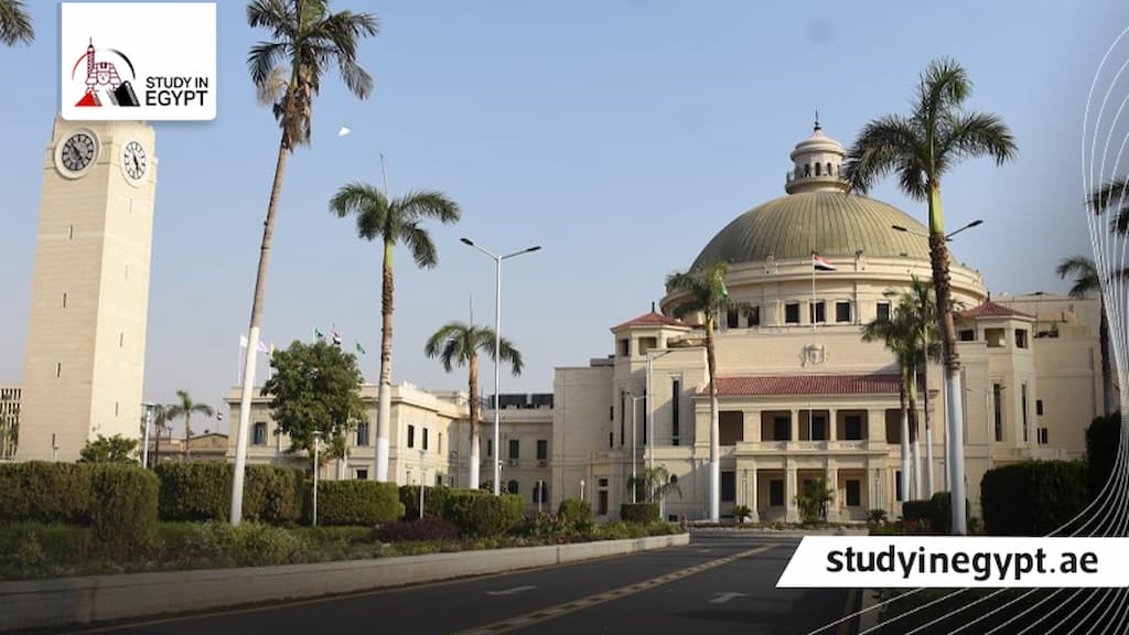 ماجستير القانون والاقتصاد جامعة القاهرة