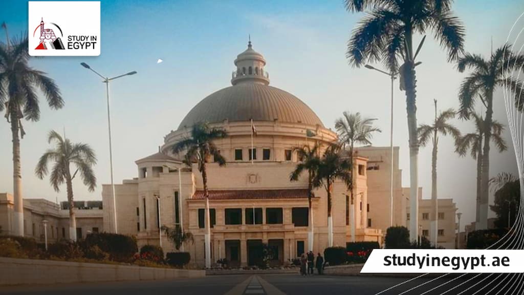 ماجستير تمريض جامعة القاهرة