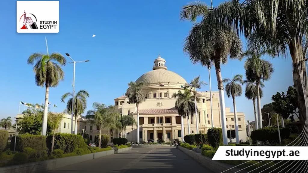 مصاريف كلية اقتصاد وعلوم سياسية جامعة القاهرة