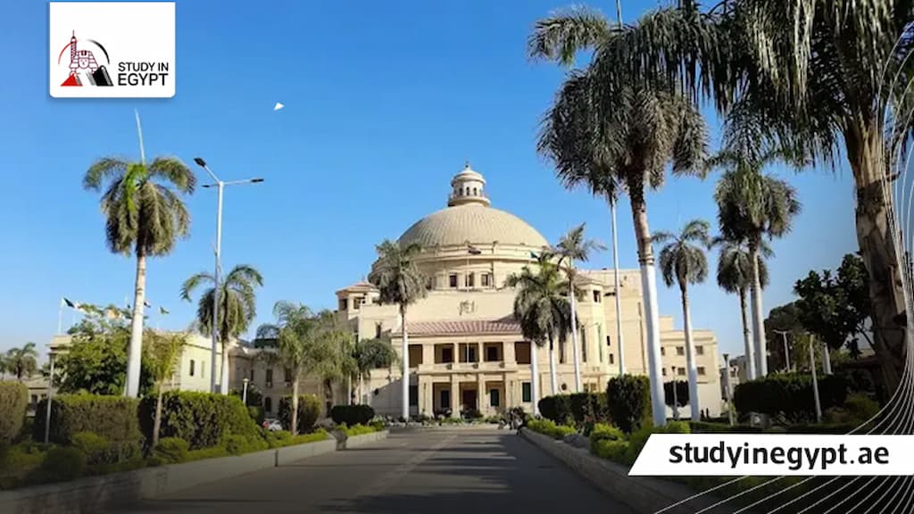 مصاريف كلية التمريض جامعة القاهرة للوافدين