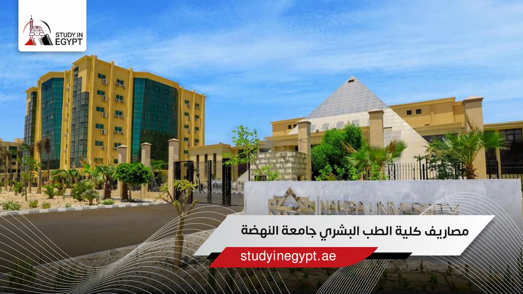 مصاريف كلية الطب البشري جامعة النهضة
