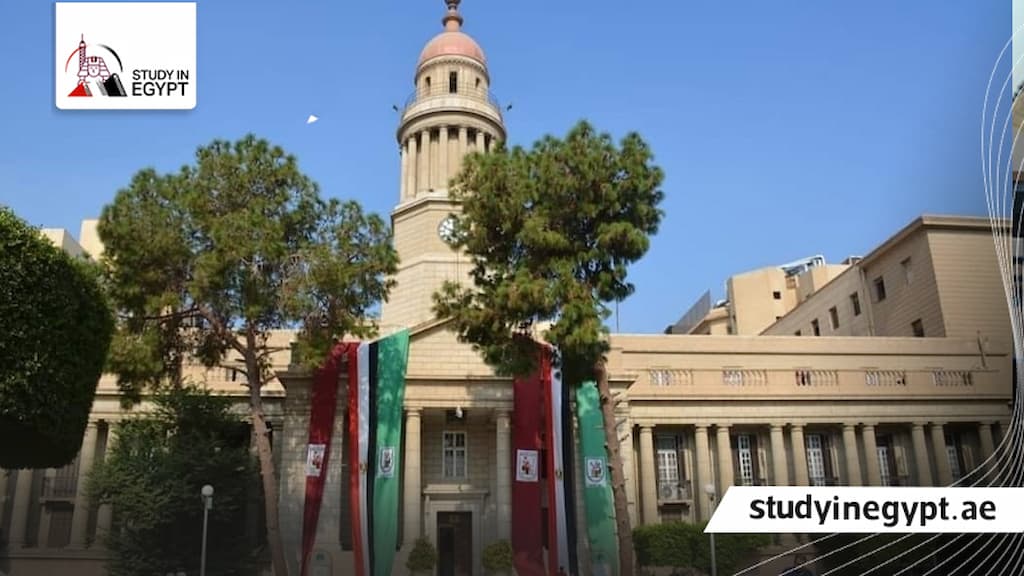 مصاريف كلية طب القصر العيني للوافدين
