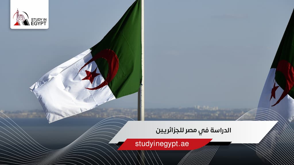 الدراسة في مصر للجزائريين