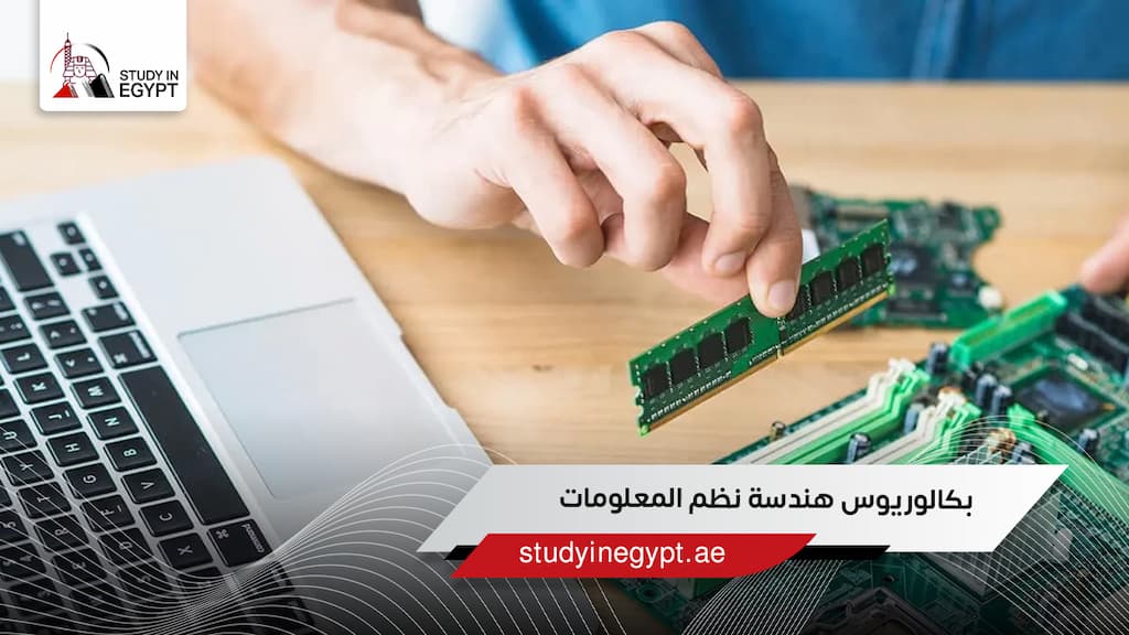 بكالوريوس هندسة نظم المعلومات