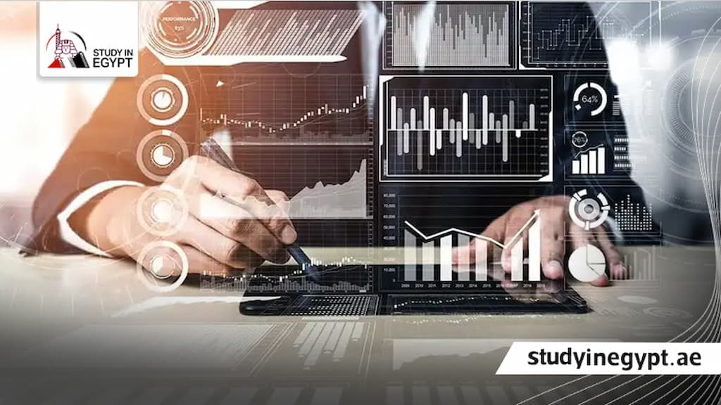 بكالوريوس هندسة نظم المعلومات