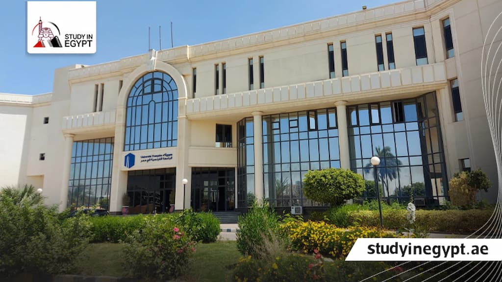 تخصصات الجامعة الفرنسية في مصر