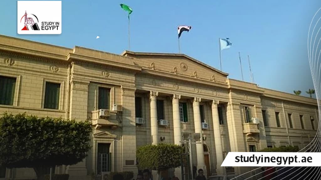 تخصصات كلية التجارة جامعة القاهرة