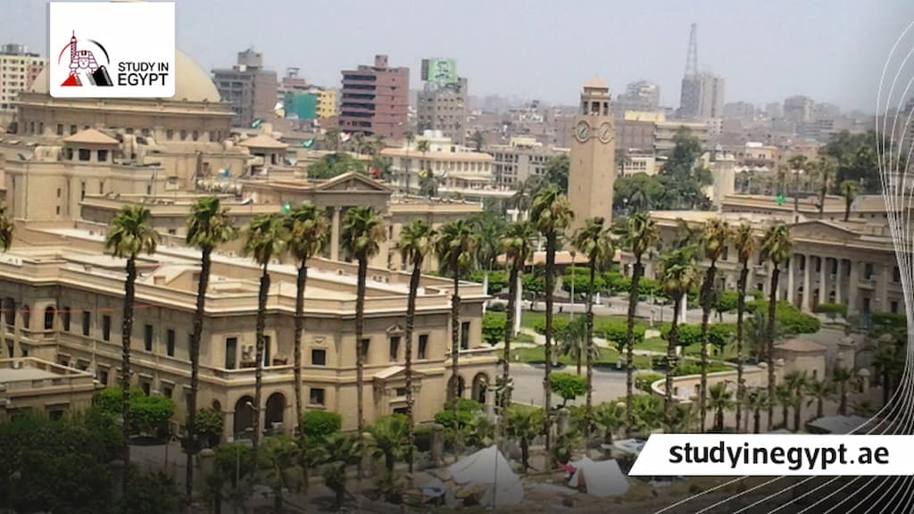 ترتيب جامعة القاهرة عالميًا في الطب